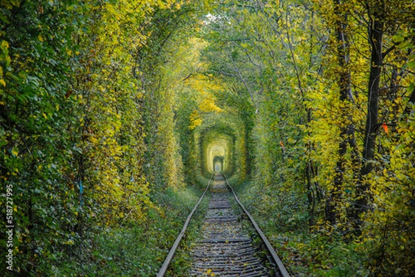 Obraz Railway track with yellow tree tunnel.