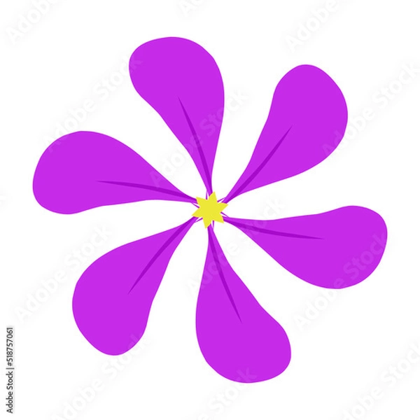 Fototapeta Purple flowers