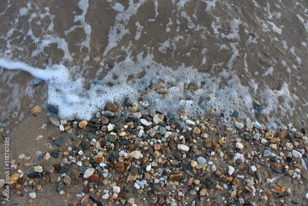 Fototapeta shells and stones on the beach