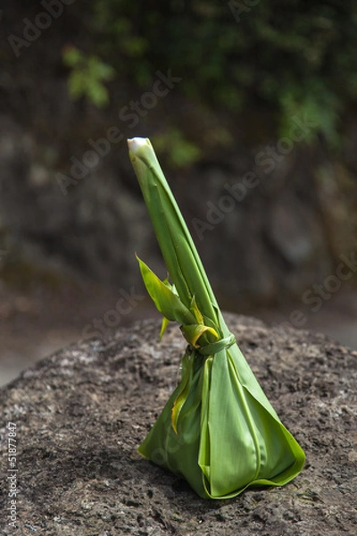 Obraz Ofiara wotywna