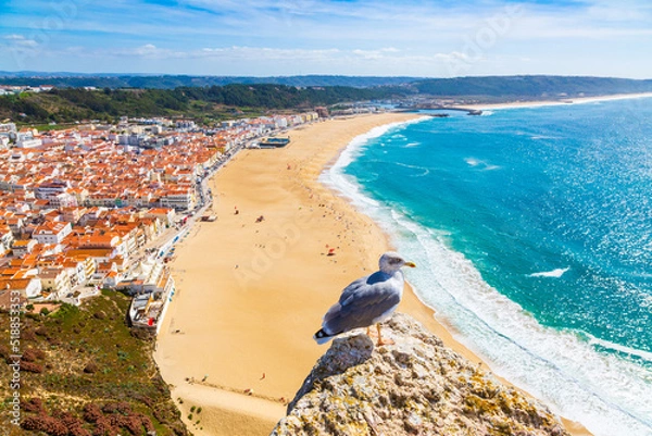 Fototapeta Nazare, Portugal: Panorama of the Nazare town and Atlantic Ocean with seagull bird in the foreground, seen from Nazare Sitio hill