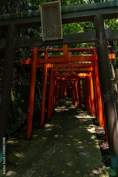 Fototapeta 赤い鳥居が連なる葛城蔵王権現社