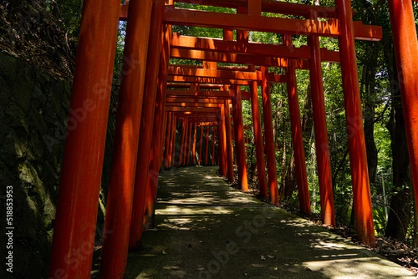 Fototapeta 赤い鳥居が連なる葛城蔵王権現社