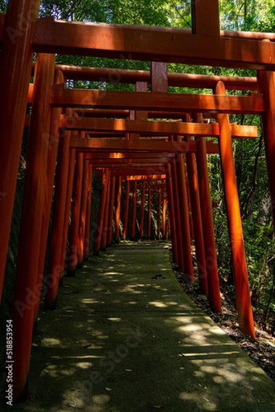 Fototapeta 赤い鳥居が連なる葛城蔵王権現社