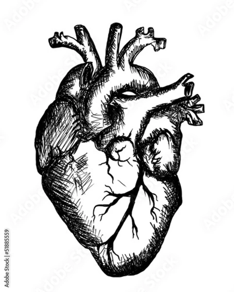 Obraz serce rysunek na białym tle