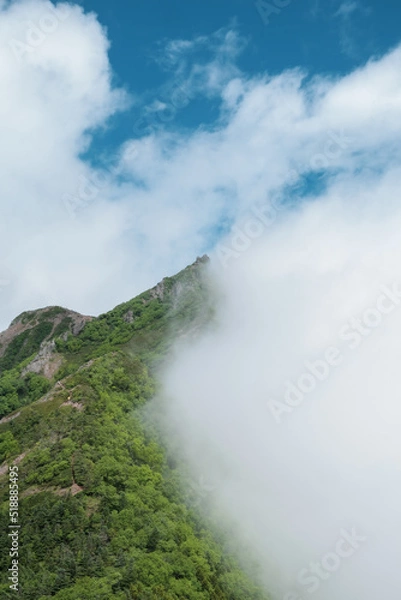 Fototapeta 雲が湧く山