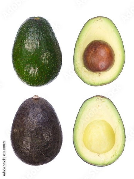 Obraz Avocado isolated on white