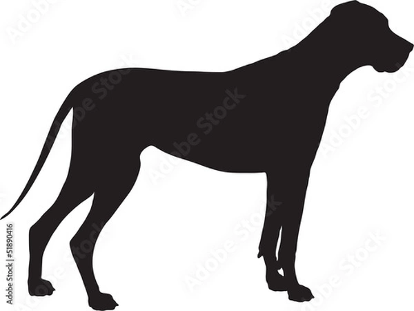 Obraz Great Dane Silhouette