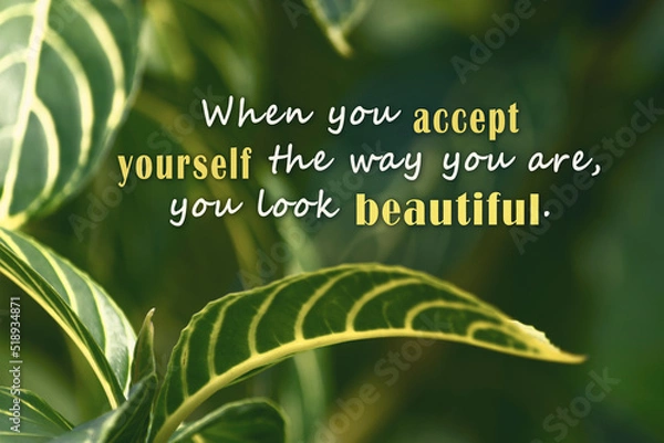 Fototapeta Motivational quote with fresh green nature and blurred leaf background.