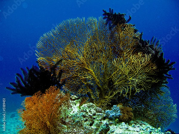 Obraz Pocztówka Sous Navy