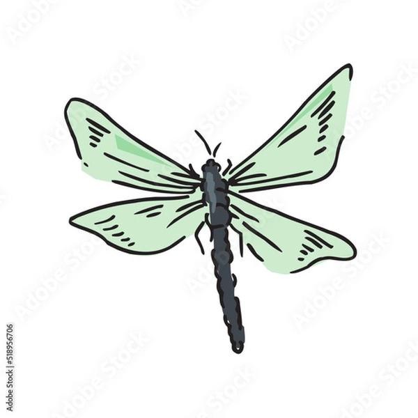 Obraz Dragonfly Design Very Cool