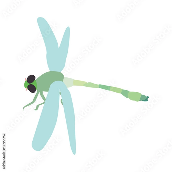 Obraz Dragonfly Design Very Cool