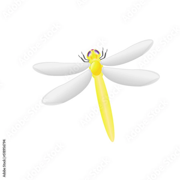 Obraz Dragonfly Design Very Cool