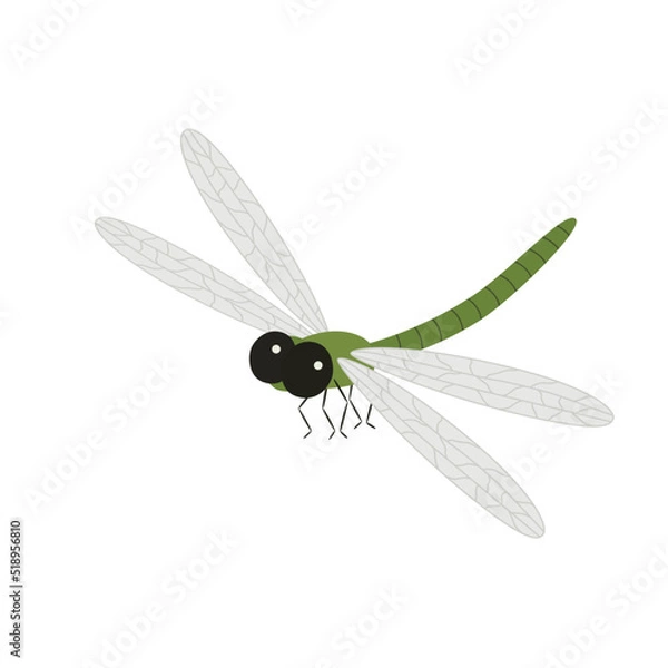 Obraz Dragonfly Design Very Cool