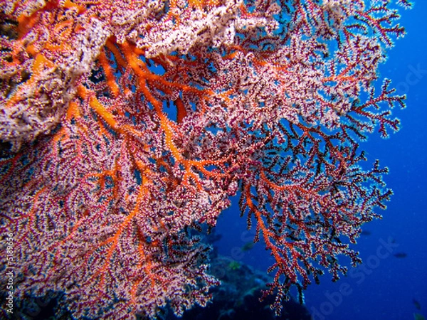 Obraz fundusz marzeń