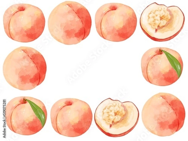 Obraz 手描き水彩の桃イラスト長方形フレーム・囲み