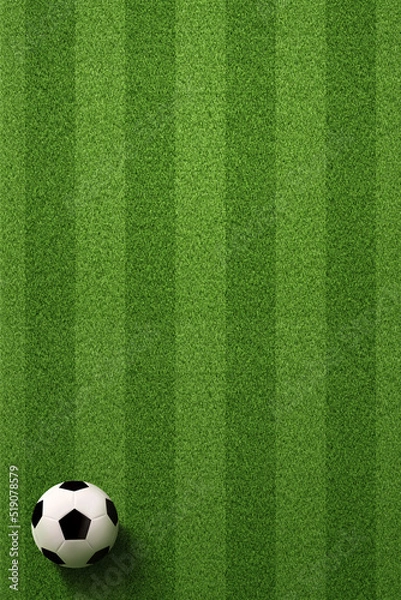 Fototapeta Soccer field or Football field with soccer ball on green grass background