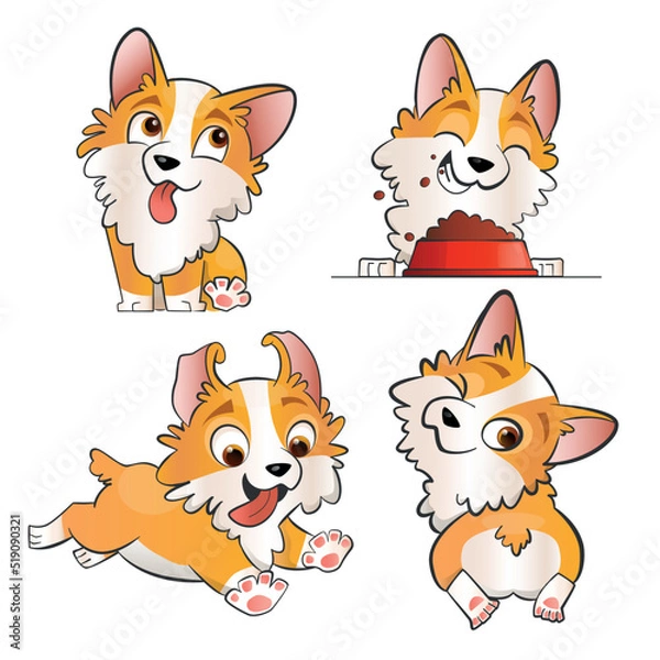 Obraz 4 cute corgi puppies vector illustrations in flat cartoon style