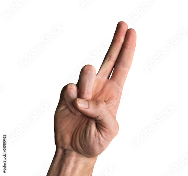 Obraz Two Finger Salute