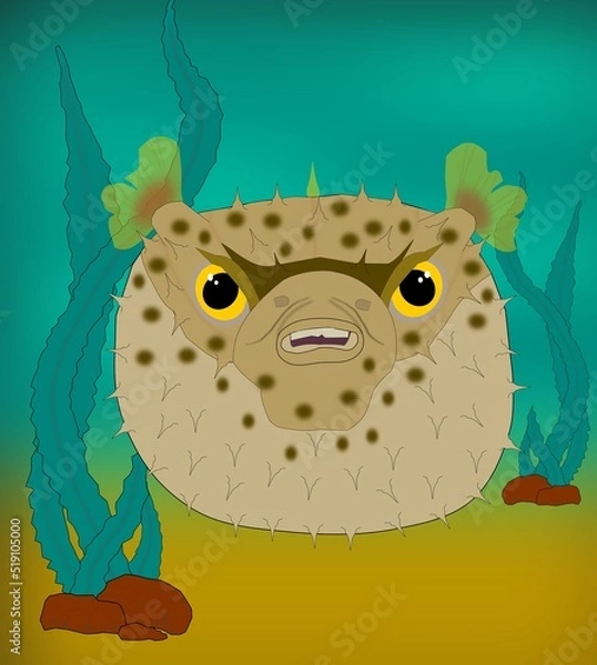 Obraz Angry puffer fish