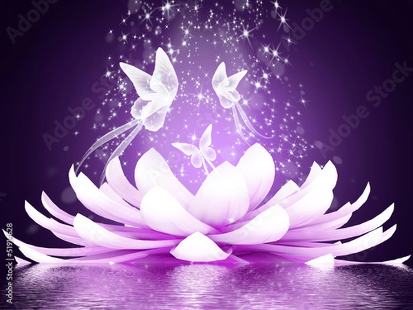 Obraz Beautiful lotus flower