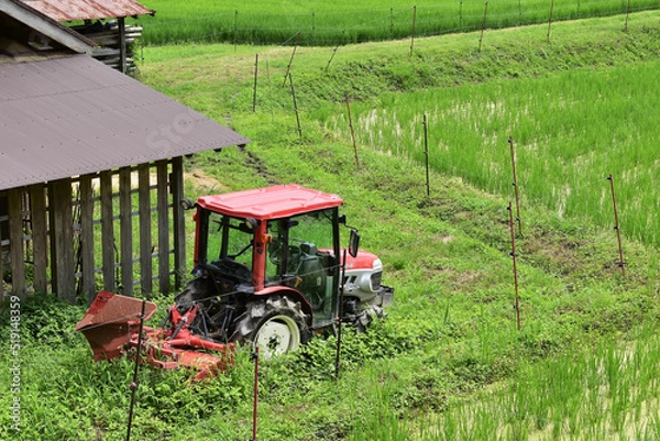 Obraz 日本の田舎、原風景、夏、美山、かやぶき、美山かやぶきの里、田んぼ、稲、水田、木材加工、家屋、古民家、屋敷、倉庫、トラクター