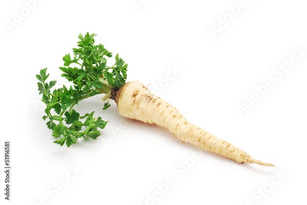 Obraz korzen pietruszki