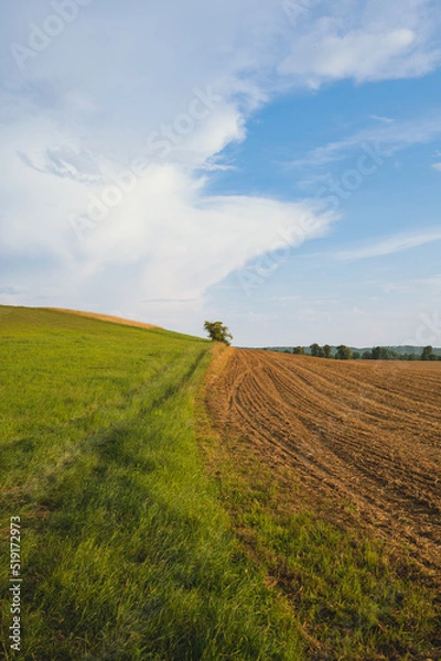 Fototapeta fields and clouds