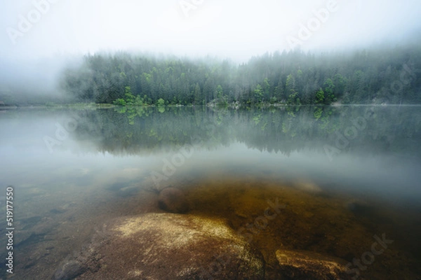 Fototapeta Mist over lac vert