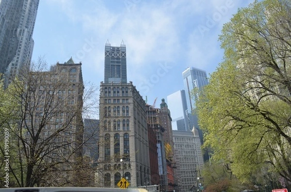 Obraz Skyline NewYork and Trees