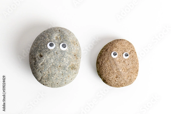 Obraz Pet Rock