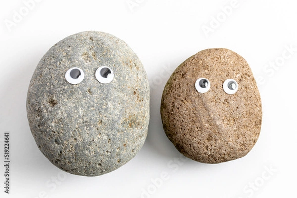 Obraz Pet Rock
