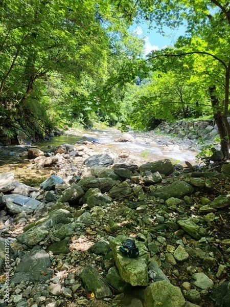 Fototapeta stream in the forest
