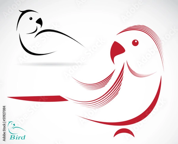 Fototapeta Vector image of an parrot on white background