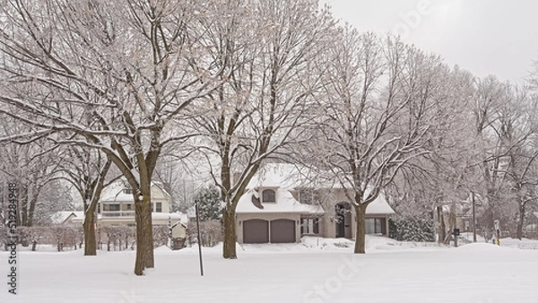 Fototapeta Suburbian houses in the snow along a park with bare trees in Montreal, Quebec, Canada 