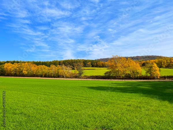 Obraz Autumn blue sky and meadows