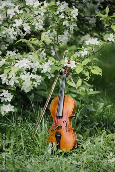 Obraz A violin in a blooming garden stands by a tree in the garden