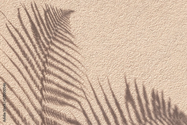 Obraz Tropical palm branch with shadow on a beige concrete wall, natural texture. Abstract background. Copy space. Summer wallpaper, minimal concept. Template with beautiful decor and natural lightning.