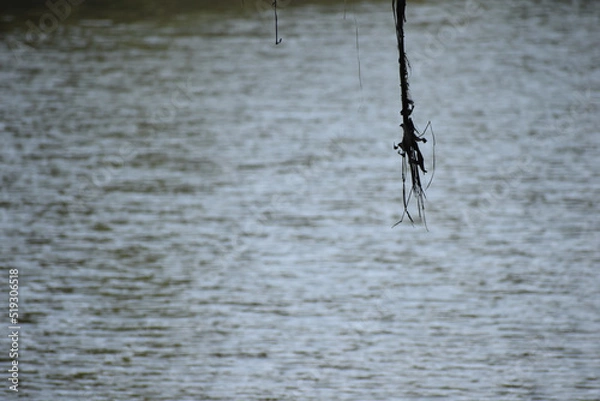 Fototapeta view of river in India
