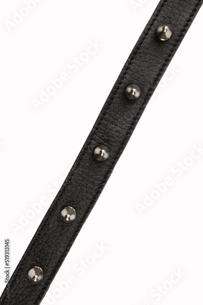 Fototapeta Selective focus black belt with spikes on a white background, close up with no shadows. Black belt with metal spikes for erotic games. Dressed around the neck. Isolate. Place for text