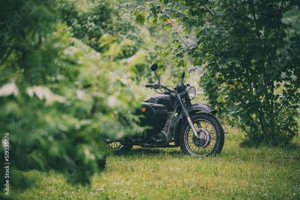 Obraz black retro motorcycle with sidecar in nature