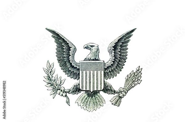 Fototapeta Bald eagle. Image element of one dollar bill or Great Seal of the United States. Eagle with arrows and olive branch.Isolated on white background. Macro