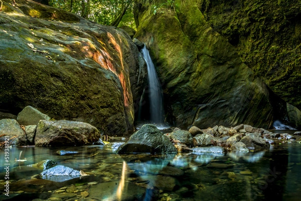 Obraz waterfall in the forest
