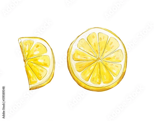 Fototapeta Lemon slice watercolor illustration isolated on white background