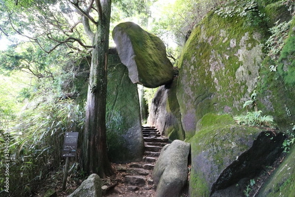 Fototapeta 夏の茨城県の筑波山の登山