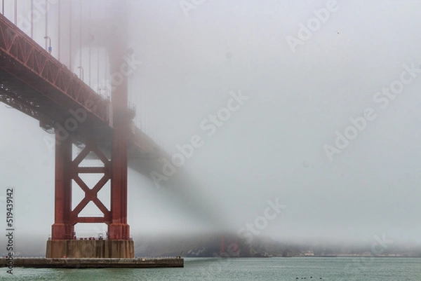 Fototapeta golden gate bridge in fog