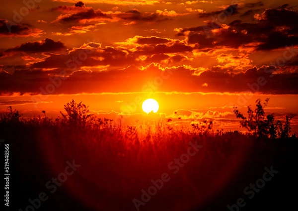Obraz Red sunset of the hot sun on the background of the silhouette of a tree and dry grass. Red Sky. Global warming, climate change, extreme heat waves. Hot evening. Danger of fire.