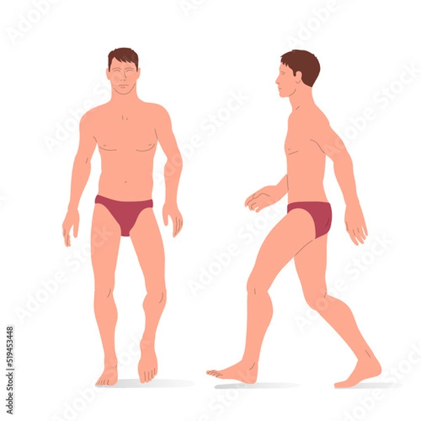 Fototapeta Young Man, full body of a man, front and side view. Isometric vector illustration.