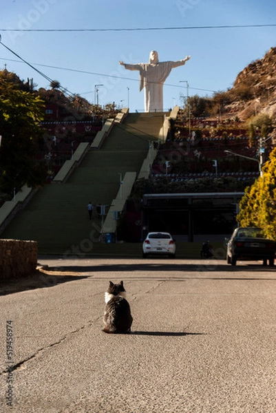 Obraz Gray and white cat walking sitting in the middle of a city street looking at a sculpture
