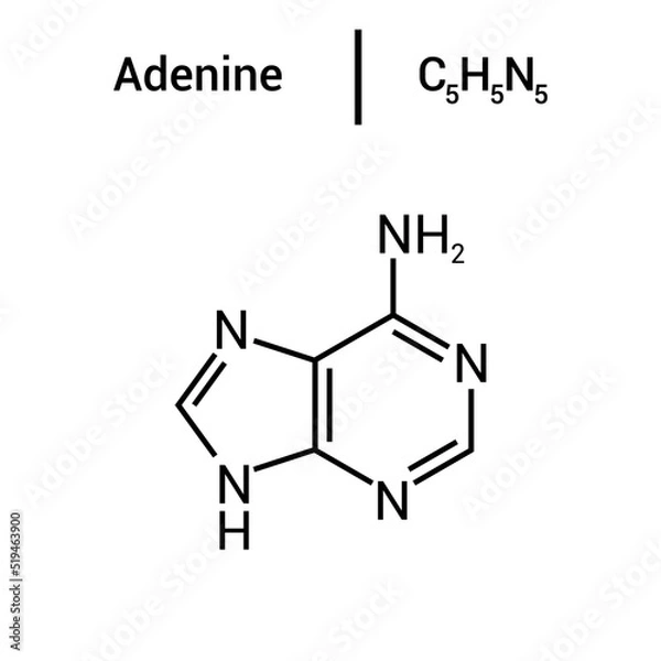 Fototapeta chemical structure of Adenine (C5H5N5)